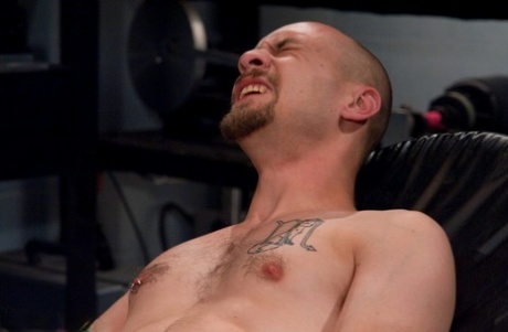 gratis sort homoseksuel pirn gratis erotisk gallerier