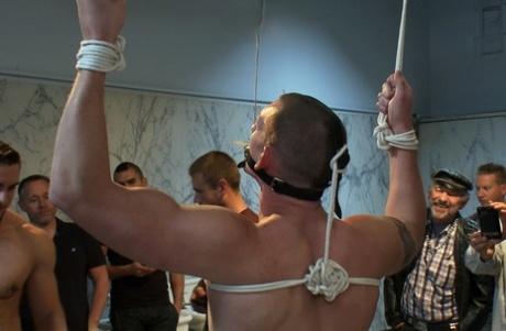 lodden homoseksuel hård nøgen perfekt pic