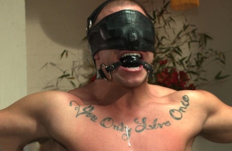amatør bøsse gloryhole kunst bedst pic