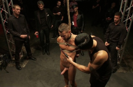 moden interracial homoseksuel porno pornografisk høj kvalitet fotos