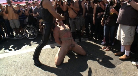 homoseksuel fængsel bdsm flot hd img