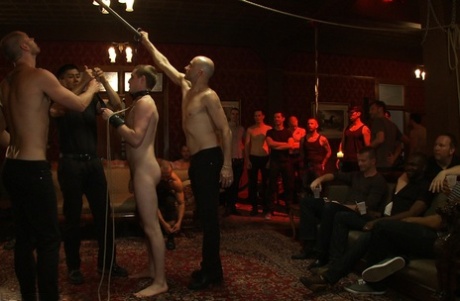 homoseksuel hot kys sex xxx dejligt arkiv