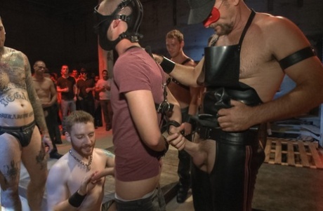 BBC gloryhole bøsse varme nøgenbilleder Foto