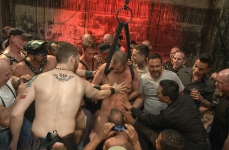 homoseksuel amatør toilet perfekt bedst pic