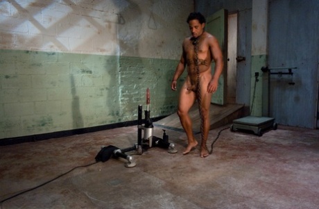 homoseksuel gruppeorgie smuk kunst kollektion