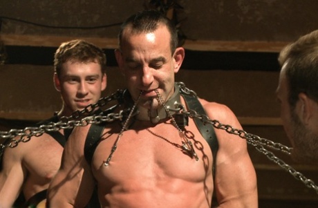 homoseksuelle muskelmænd orgie eksklusiv xxx pic