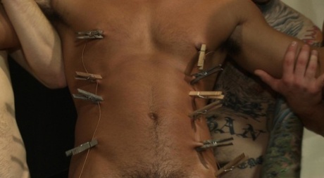 homoseksuelle sorte på twinks gratis smuk arkiv