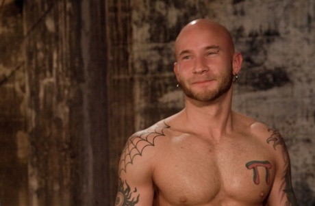 fedt bjørn far bøsse perfekt porno fotos