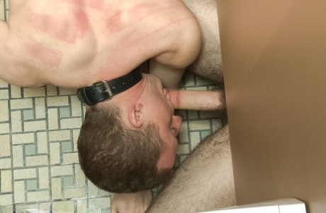 homoseksuelle uden kondom orgie creampie porno bedst kollektion
