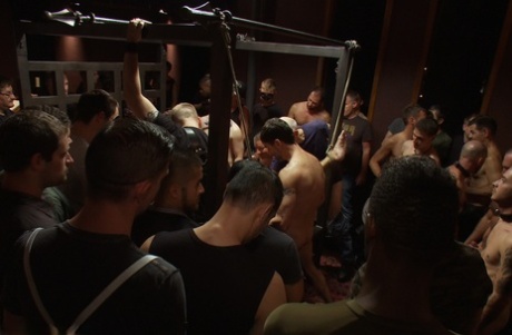 blackgayporns sexy parfait images