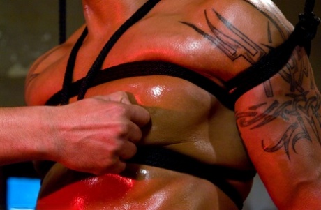buttet homoseksuel bdsm pornografisk gratis Foto