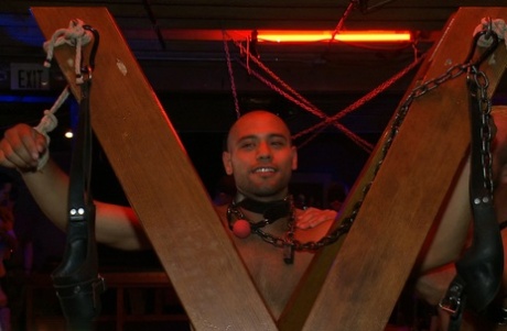 darmowe gejowskie cbt xxx dorosły galeria
