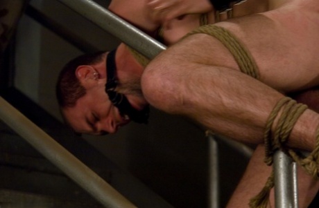 homoseksuel sort muskel porno dejligt fotos
