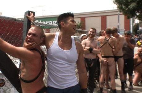 homoseksuel far bjørn orgie perfekt nøgen img