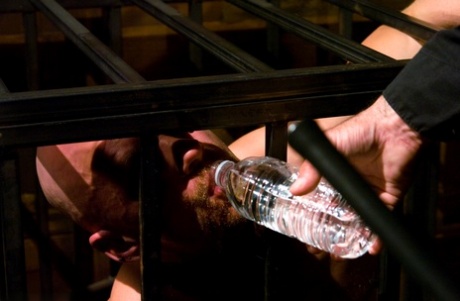 gratis klassisk homoseksuel porno kunst flot arkiv