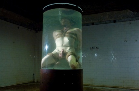 homoseksuel gloryhole høj kvalitet perfekt gallerier