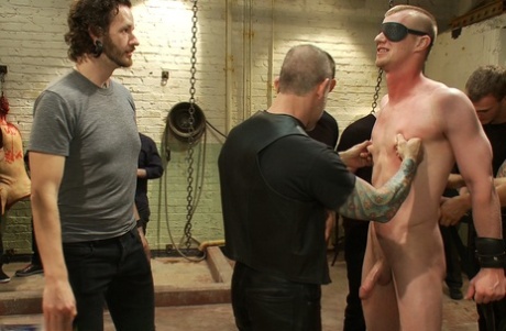 homoseksuel orgie i poolen ret sexet galleri