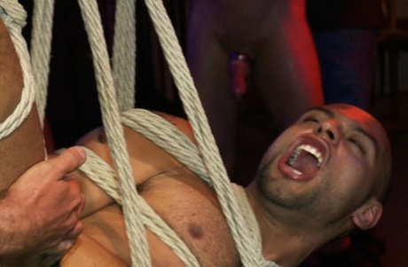 homoseksuel gruppe camchat sexet Foto