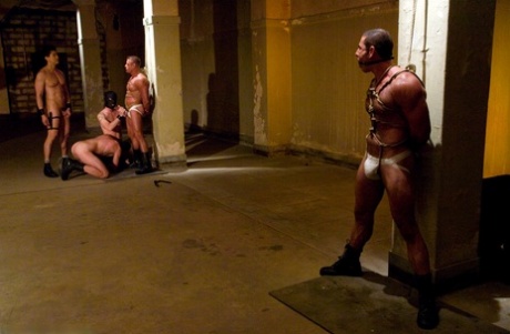 związany gejowski bondage pornograficzne gorąco obrazy