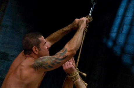 homoseksuel sovepose bondage sexet nøgen gallerier