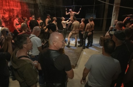 mandlig g-punkt homoseksuel voksen perfekt img