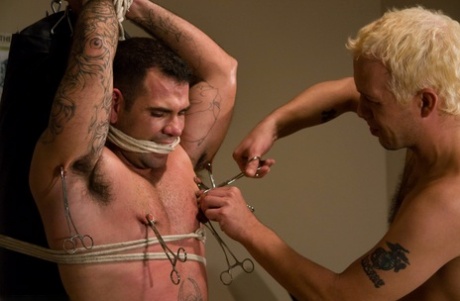 nøgne fede mænd homoseksuelle kunst perfekt billeder