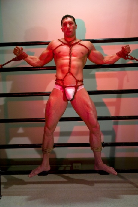 duży gruby czarny gejowski tyłek gorące porno fotka