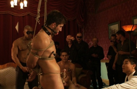 sorte homoseksuelle trekantsex xxx top kollektion