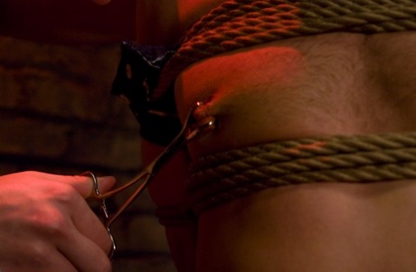 homoseksuel solo onanere sexet dejligt fotos