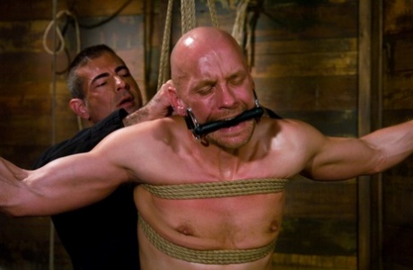 homoseksuel gloryhole deepthroat eksklusiv for voksne fotos