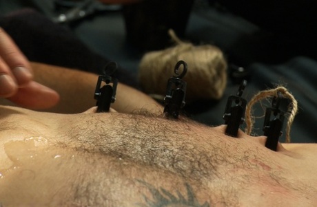kyskhed slave bøsse flot hd billede
