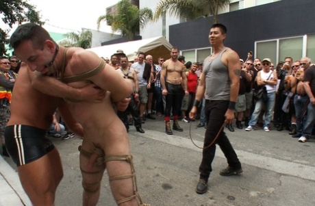 rå homoseksuel hardcore pornografisk gratis billeder