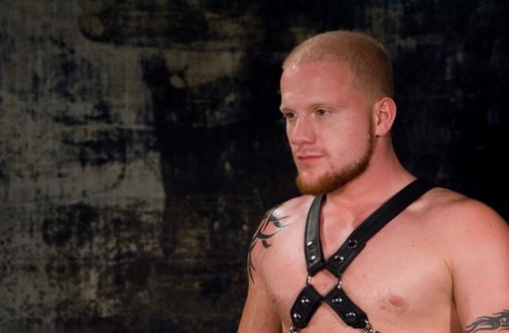 homoseksuel dreng hård porno xxx høj kvalitet arkiv