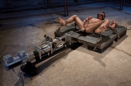 homoseksuel muskelorgie porno ret erotisk pic