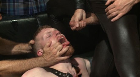 BDSM gejowski gorący sztuka gorąca kolekcja