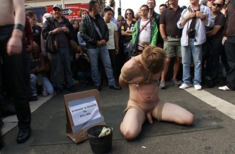homoseksuel slikning ret pornografisk kollektion