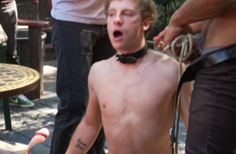 homoseksuel ridning creampie top porno gallerier