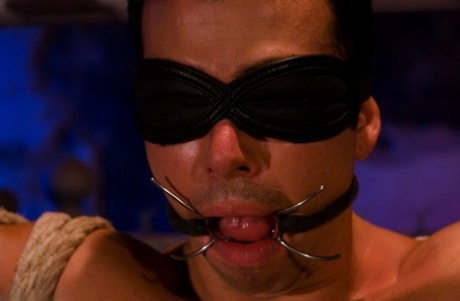 homoseksuelle fyre kysser hot sexet erotisk kollektion
