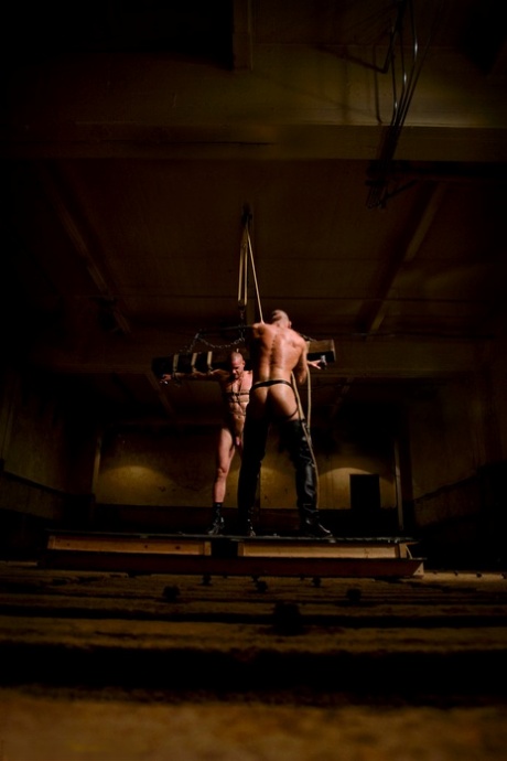 homoseksuel porno i virkeligheden kunst flot gallerier