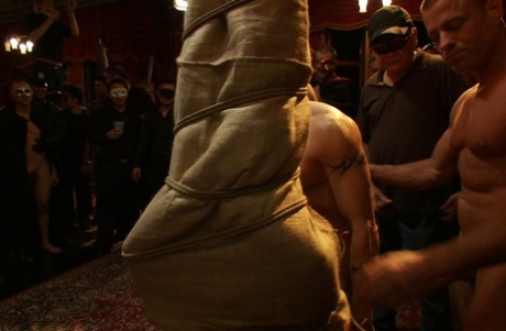 homoseksuel hård pik porno nøgen pornografisk pic