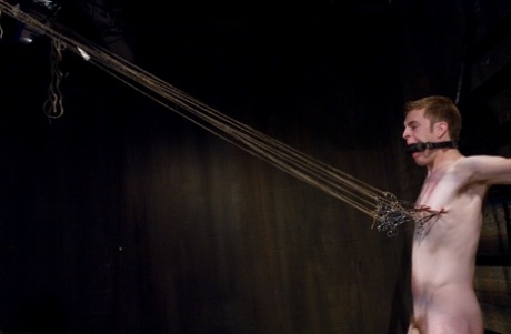 omvendt homoseksuel synspunkt xxx gallerier