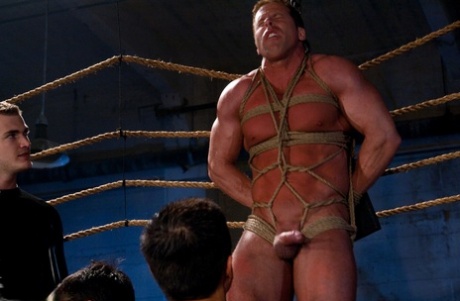 tynd homoseksuel bdsm kunst flot pic