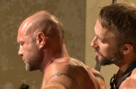 darmowe porno gejowskie glory hole najlepsza wysoka jakość archiwum