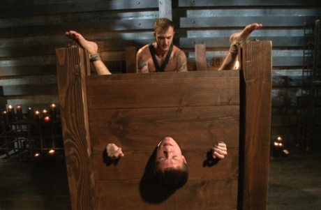 homoseksuel ibenholt synsvinkel top voksen Foto