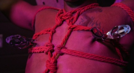 gay boy underwear sex art naked images