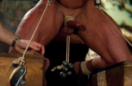 homoseksuel muskel trekant eksklusive bedste img