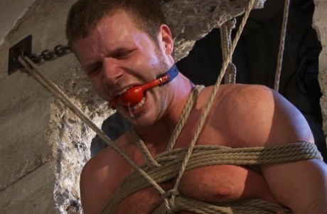 homoseksuelle har hård sex hd varmt galleri