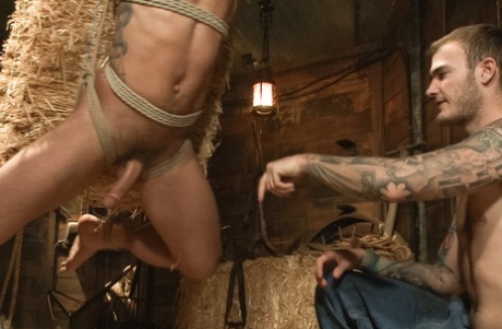 homoseksuel porno på hårdhændet vis perfekt kunst kollektion