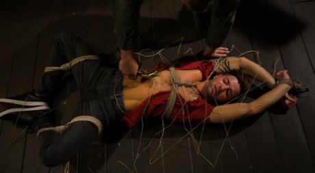 homoseksuelle biseksuelle swingere gratis sex kollektion