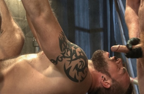 homoseksuel interracial håndjob pornografisk rart Foto